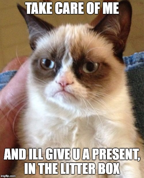Grumpy Cat | TAKE CARE OF ME; AND ILL GIVE U A PRESENT, IN THE LITTER BOX | image tagged in memes,grumpy cat | made w/ Imgflip meme maker