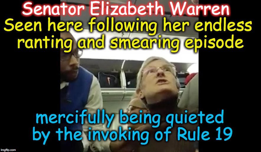 Her voice is less pleasant than the sound of a swarm of killer bees swirling around your head | Senator Elizabeth Warren; Seen here following her endless ranting and smearing episode; mercifully being quieted by the invoking of Rule 19 | image tagged in elizabeth warren | made w/ Imgflip meme maker