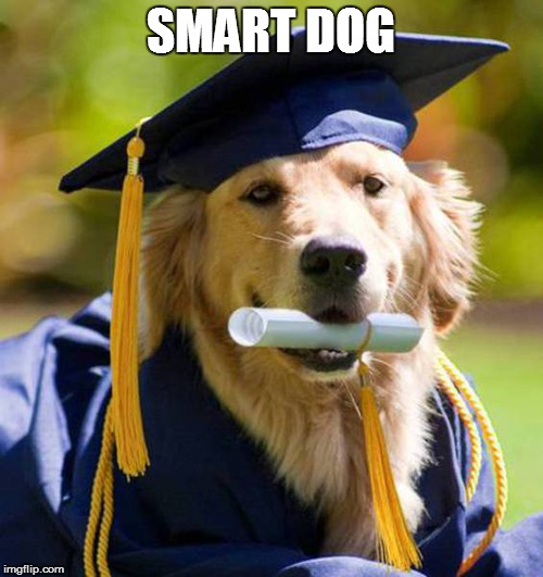 SMART DOG | made w/ Imgflip meme maker