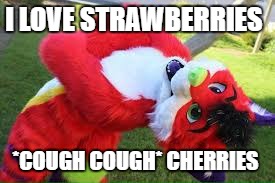 Marjia strawberry  | I LOVE STRAWBERRIES; *COUGH COUGH* CHERRIES | image tagged in furries | made w/ Imgflip meme maker