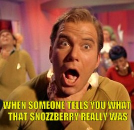 WHEN SOMEONE TELLS YOU WHAT THAT SNOZZBERRY REALLY WAS | image tagged in snozzberrykirk | made w/ Imgflip meme maker