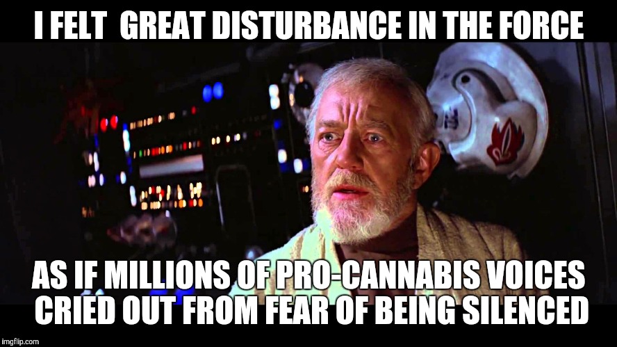 Disturbance in the force | I FELT  GREAT DISTURBANCE IN THE FORCE; AS IF MILLIONS OF PRO-CANNABIS VOICES CRIED OUT FROM FEAR OF BEING SILENCED | image tagged in disturbance in the force | made w/ Imgflip meme maker