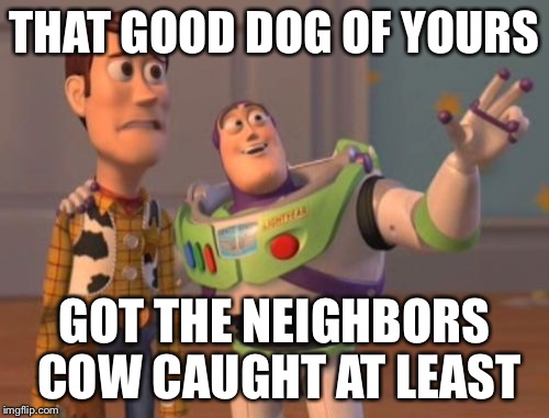 X, X Everywhere Meme | THAT GOOD DOG OF YOURS; GOT THE NEIGHBORS COW CAUGHT AT LEAST | image tagged in memes,x x everywhere | made w/ Imgflip meme maker