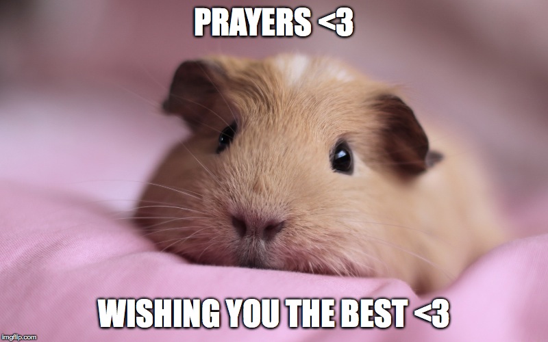 PRAYERS <3 WISHING YOU THE BEST <3 | made w/ Imgflip meme maker