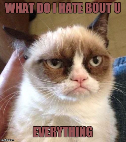 Grumpy Cat Reverse Meme | WHAT DO I HATE BOUT U; EVERYTHING | image tagged in memes,grumpy cat reverse,grumpy cat | made w/ Imgflip meme maker