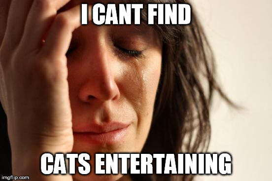 First World Problems | I CANT FIND; CATS ENTERTAINING | image tagged in memes,first world problems | made w/ Imgflip meme maker