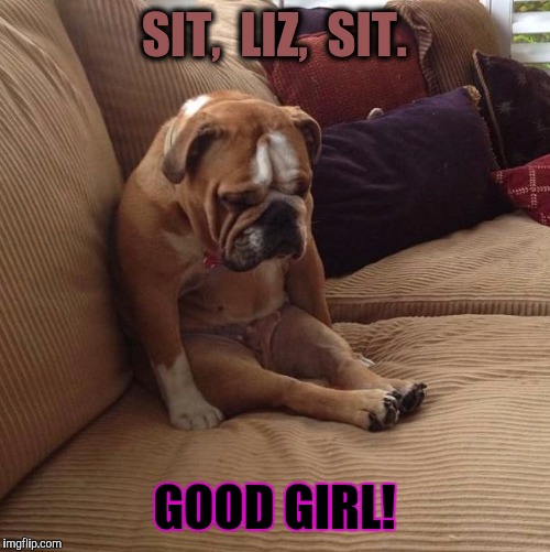 Sit Liz | SIT,  LIZ,  SIT. GOOD GIRL! | image tagged in bulldogsad,breaking news,politics,women rights | made w/ Imgflip meme maker