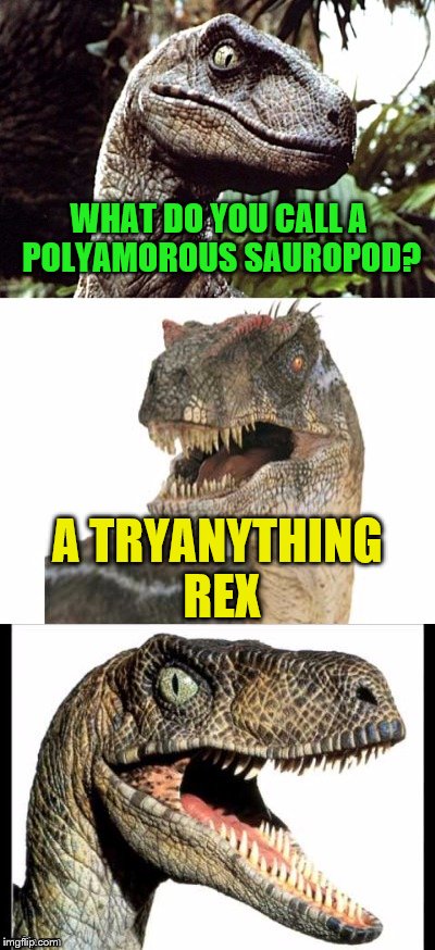 Bad Pun Velociraptor | WHAT DO YOU CALL A POLYAMOROUS SAUROPOD? A TRYANYTHING REX | image tagged in bad pun velociraptor | made w/ Imgflip meme maker