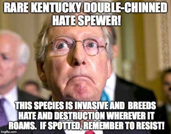 Mitch McConnell | RARE KENTUCKY DOUBLE-CHINNED HATE SPEWER! THIS SPECIES IS INVASIVE AND  BREEDS HATE AND DESTRUCTION WHEREVER IT ROAMS.  IF SPOTTED, REMEMBER TO RESIST! | image tagged in mitch mcconnell | made w/ Imgflip meme maker