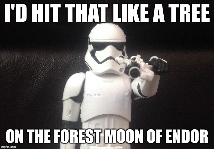 Storm Trooper Takes Aim | I'D HIT THAT LIKE A TREE; ON THE FOREST MOON OF ENDOR | image tagged in storm trooper takes aim | made w/ Imgflip meme maker