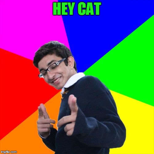HEY CAT | made w/ Imgflip meme maker