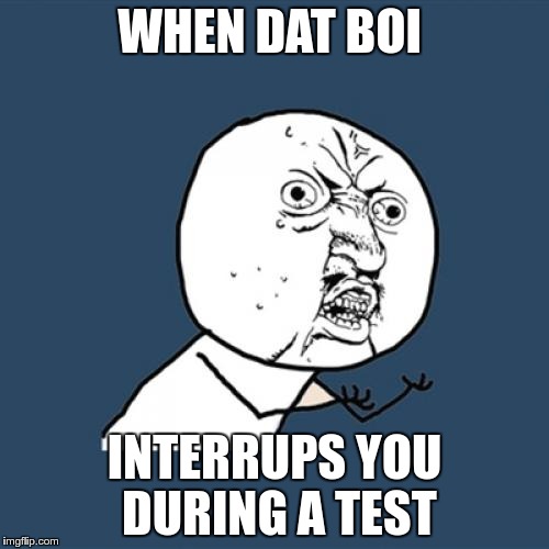 Y U No Meme | WHEN DAT BOI; INTERRUPS YOU DURING A TEST | image tagged in memes,y u no | made w/ Imgflip meme maker