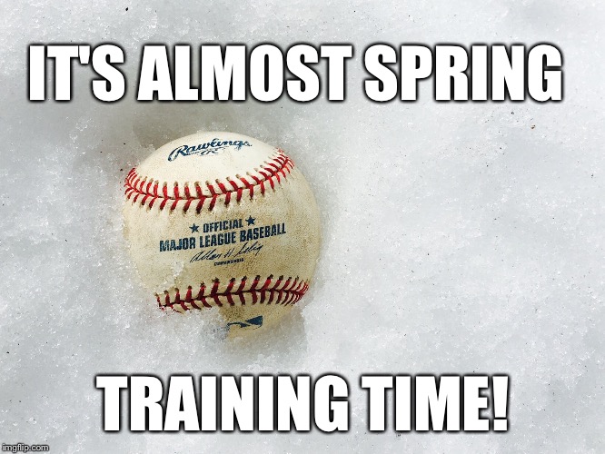 IT'S ALMOST SPRING; TRAINING TIME! | image tagged in baseball | made w/ Imgflip meme maker
