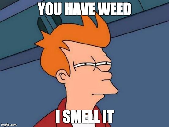 Futurama Fry Meme | YOU HAVE WEED; I SMELL IT | image tagged in memes,futurama fry | made w/ Imgflip meme maker