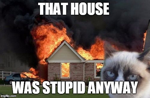 Burn Kitty | THAT HOUSE; WAS STUPID ANYWAY | image tagged in memes,burn kitty,grumpy cat | made w/ Imgflip meme maker