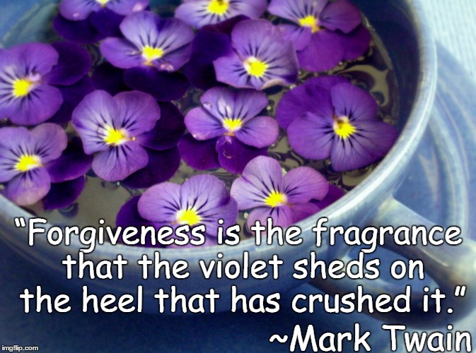 Teacup Violets | “Forgiveness is the fragrance that the violet sheds on the heel that has crushed it.”; ~Mark Twain | image tagged in mark twain,forgiveness,purple flowers,fragrance,crushed | made w/ Imgflip meme maker