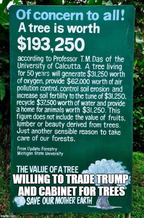 WILLING TO TRADE TRUMP AND CABINET FOR TREES | image tagged in air | made w/ Imgflip meme maker