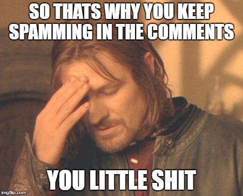 Frustrated Boromir Meme | SO THATS WHY YOU KEEP SPAMMING IN THE COMMENTS; YOU LITTLE SHIT | image tagged in memes,frustrated boromir | made w/ Imgflip meme maker