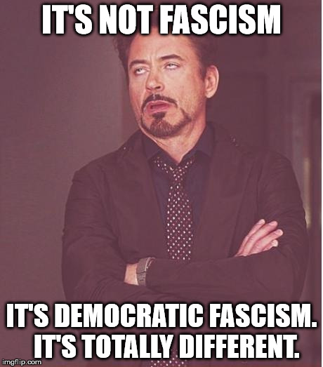 Face You Make Robert Downey Jr Meme | IT'S NOT FASCISM; IT'S DEMOCRATIC FASCISM.  IT'S TOTALLY DIFFERENT. | image tagged in memes,face you make robert downey jr | made w/ Imgflip meme maker