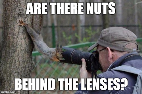 Jehovas Witness Squirrel |  ARE THERE NUTS; BEHIND THE LENSES? | image tagged in memes,jehovas witness squirrel | made w/ Imgflip meme maker
