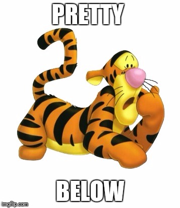 tiggerwarning | PRETTY; BELOW | image tagged in tiggerwarning | made w/ Imgflip meme maker