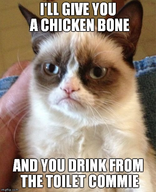 Grumpy Cat Meme | I'LL GIVE YOU A CHICKEN BONE AND YOU DRINK FROM THE TOILET COMMIE | image tagged in memes,grumpy cat | made w/ Imgflip meme maker