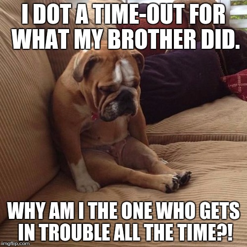 bulldogsad | I DOT A TIME-OUT FOR WHAT MY BROTHER DID. WHY AM I THE ONE WHO GETS IN TROUBLE ALL THE TIME?! | image tagged in bulldogsad | made w/ Imgflip meme maker