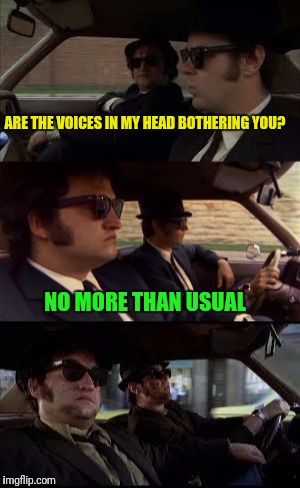 Jake and Elwood | ARE THE VOICES IN MY HEAD BOTHERING YOU? NO MORE THAN USUAL | image tagged in jake and elwood | made w/ Imgflip meme maker