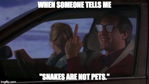 Chevy Chase's Day Off | WHEN SOMEONE TELLS ME; "SNAKES ARE NOT PETS." | image tagged in chevy chase's day off | made w/ Imgflip meme maker