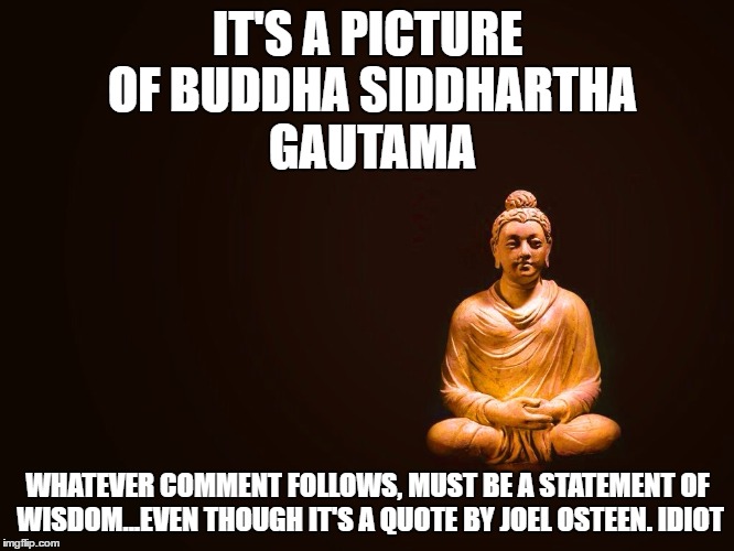 Buddha - Transience  | IT'S A PICTURE OF BUDDHA SIDDHARTHA GAUTAMA; WHATEVER COMMENT FOLLOWS, MUST BE A STATEMENT OF WISDOM...EVEN THOUGH IT'S A QUOTE BY JOEL OSTEEN. IDIOT | image tagged in buddha - transience | made w/ Imgflip meme maker