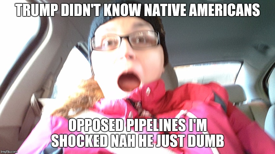 Shocked by trump stupidity nah  | TRUMP DIDN'T KNOW NATIVE AMERICANS; OPPOSED PIPELINES I'M SHOCKED NAH HE JUST DUMB | image tagged in president trump | made w/ Imgflip meme maker