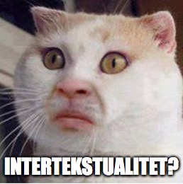 INTERTEKSTUALITET? | made w/ Imgflip meme maker