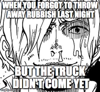 The Sanji Face | WHEN YOU FORGOT TO THROW AWAY RUBBISH LAST NIGHT; BUT THE TRUCK DIDN'T COME YET | image tagged in the sanji face | made w/ Imgflip meme maker