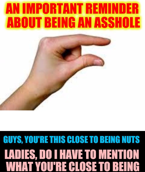 I know too many that cross that line | AN IMPORTANT REMINDER ABOUT BEING AN ASSHOLE; LADIES, DO I HAVE TO MENTION WHAT YOU'RE CLOSE TO BEING; GUYS, YOU'RE THIS CLOSE TO BEING NUTS | image tagged in assholes,fine line | made w/ Imgflip meme maker