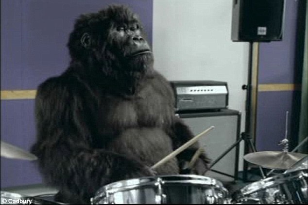 High Quality monkey drummer Blank Meme Template