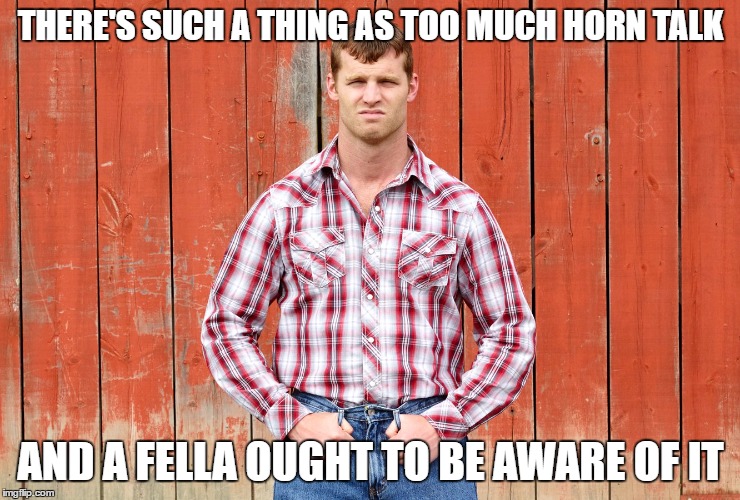 Letterkenny Wayne | THERE'S SUCH A THING AS TOO MUCH HORN TALK; AND A FELLA OUGHT TO BE AWARE OF IT | image tagged in letterkenny wayne | made w/ Imgflip meme maker