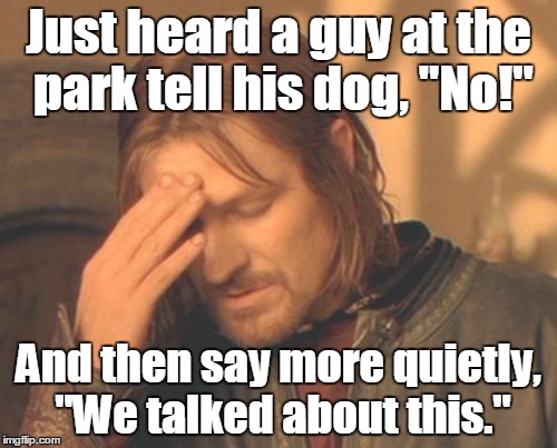 Frustrated Boromir Meme |  Just heard a guy at the park tell his dog, "No!"; And then say more quietly, "We talked about this." | image tagged in memes,frustrated boromir | made w/ Imgflip meme maker