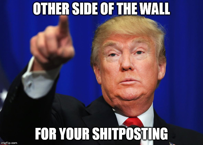 Trump pointing | OTHER SIDE OF THE WALL; FOR YOUR SHITPOSTING | image tagged in trump pointing | made w/ Imgflip meme maker