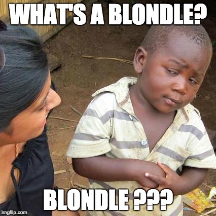 Third World Skeptical Kid Meme | WHAT'S A BLONDLE? BLONDLE ??? | image tagged in memes,third world skeptical kid | made w/ Imgflip meme maker