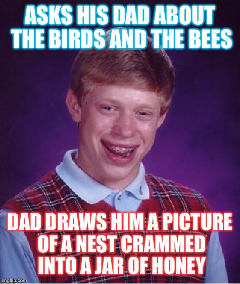 Bad Luck Brian | ASKS HIS DAD ABOUT THE BIRDS AND THE BEES; DAD DRAWS HIM A PICTURE OF A NEST CRAMMED INTO A JAR OF HONEY | image tagged in memes,bad luck brian | made w/ Imgflip meme maker
