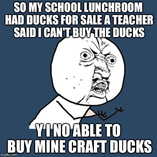 Y U No | SO MY SCHOOL LUNCHROOM HAD DUCKS FOR SALE A TEACHER SAID I CAN'T BUY THE DUCKS; Y I NO ABLE TO BUY MINE CRAFT DUCKS | image tagged in memes,y u no | made w/ Imgflip meme maker