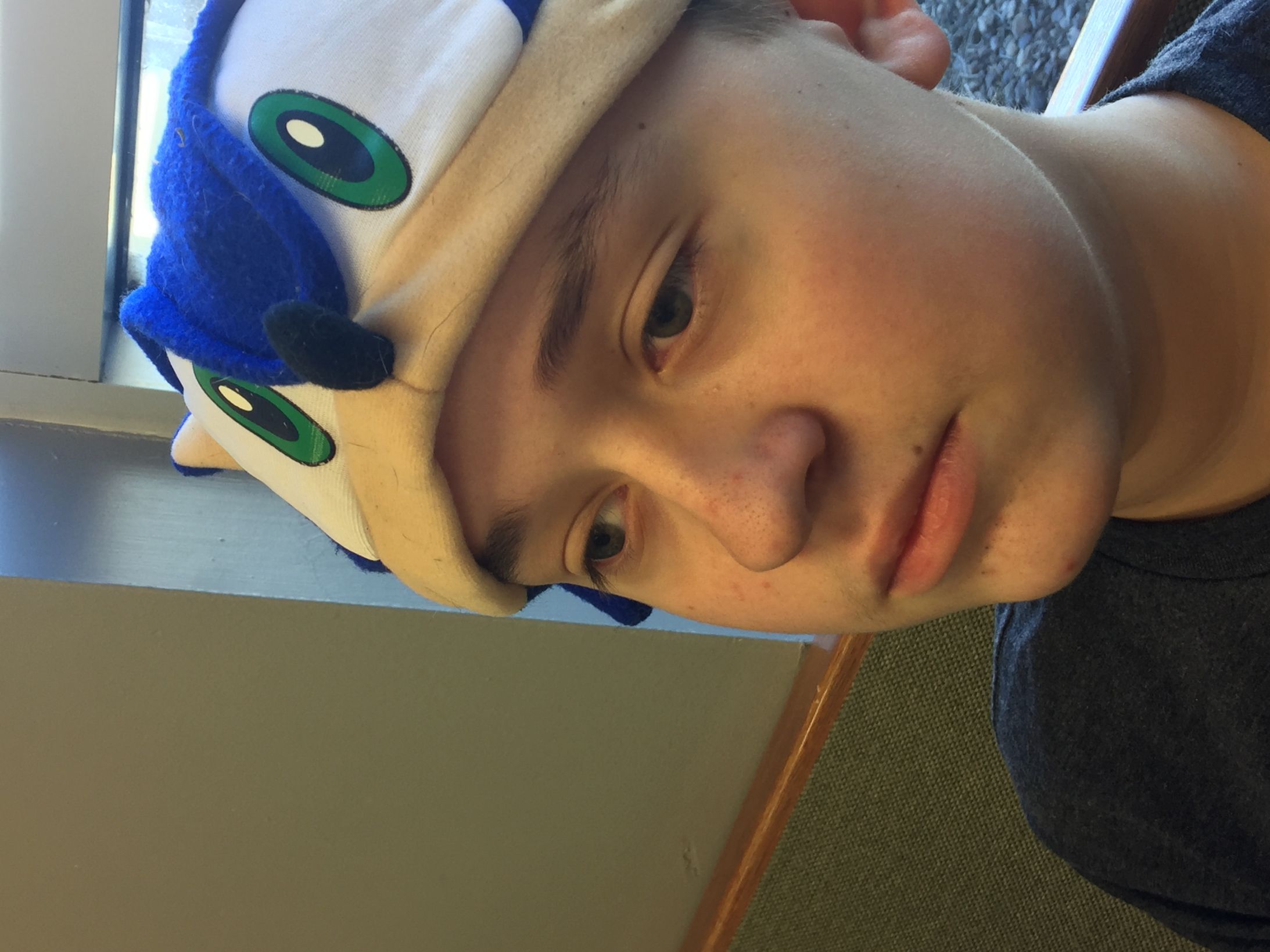 Erd Blank Meme Template