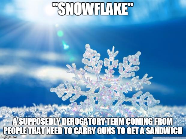 It's really funny, actually | "SNOWFLAKE"; A SUPPOSEDLY DEROGATORY TERM COMING FROM PEOPLE THAT NEED TO CARRY GUNS TO GET A SANDWICH | image tagged in snowflake,liberals | made w/ Imgflip meme maker