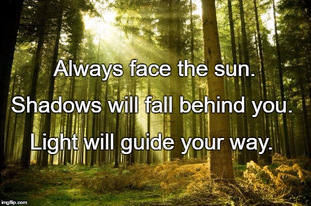 sunlit forest | Always face the sun. Shadows will fall behind you. Light will guide your way. | image tagged in sunlit forest | made w/ Imgflip meme maker