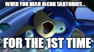 Sonic is TRIGERRED | WHEN YOU HEAR JACOB SARTORIUS .. FOR THE 1ST TIME | image tagged in sonic is trigerred | made w/ Imgflip meme maker