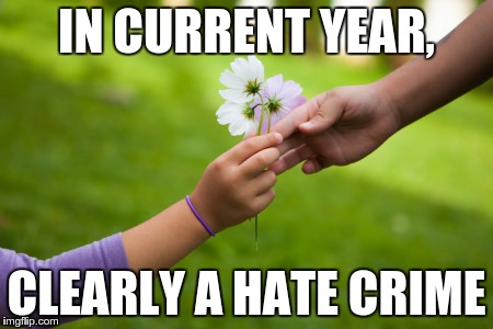 IN CURRENT YEAR, CLEARLY A HATE CRIME | image tagged in hate crime,social justice | made w/ Imgflip meme maker