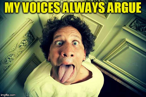 MY VOICES ALWAYS ARGUE | made w/ Imgflip meme maker