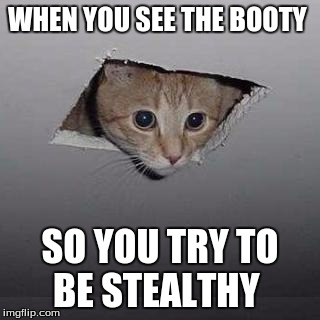 Ceiling Cat | WHEN YOU SEE THE BOOTY; SO YOU TRY TO BE STEALTHY | image tagged in memes,ceiling cat | made w/ Imgflip meme maker