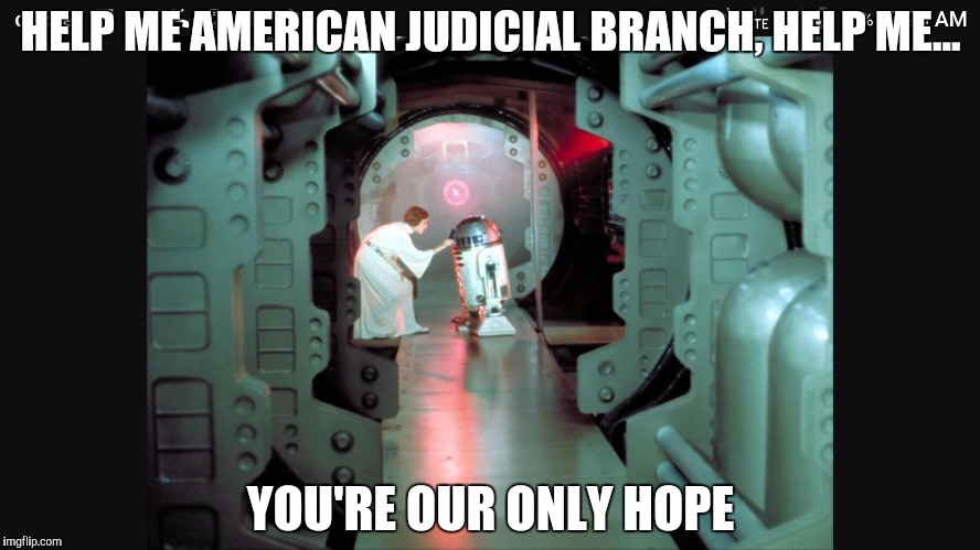 HELP ME AMERICAN JUDICIAL BRANCH, HELP ME... YOU'RE OUR ONLY HOPE | image tagged in help me | made w/ Imgflip meme maker