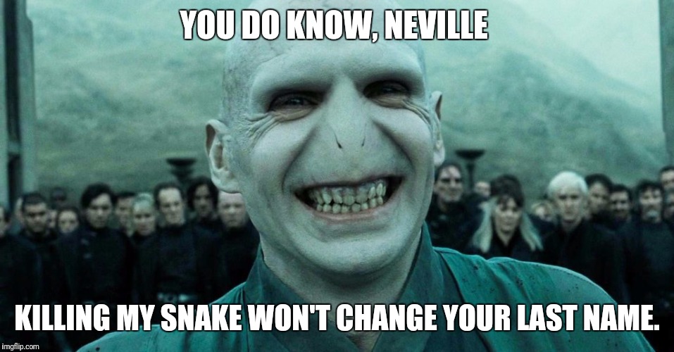 Savage Harry Potter joke | YOU DO KNOW, NEVILLE; KILLING MY SNAKE WON'T CHANGE YOUR LAST NAME. | image tagged in savage harry potter joke | made w/ Imgflip meme maker